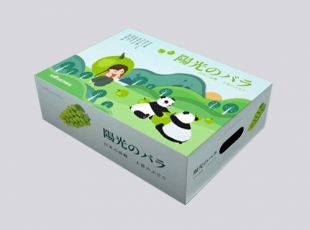 衡阳瓦楞彩箱彩盒
