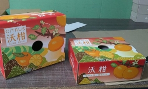 水果包装纸箱水印与彩印的区别