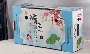 湖南纸箱厂家带你了解纸箱或纸盒包装设计的主要方式